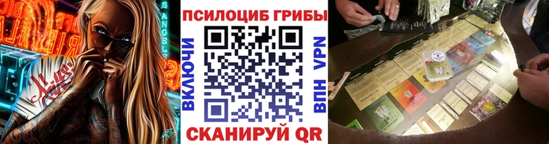 Галлюциногенные грибы Cubensis  купить наркоту  Красноуральск 